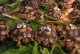 Suchozemská želva - super vánoční dárek